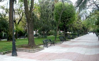 Visita al Botánico del Paseo de Cánovas.